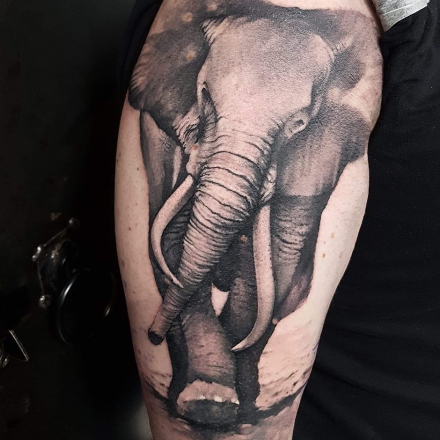tatuaj cu elefant pe mana