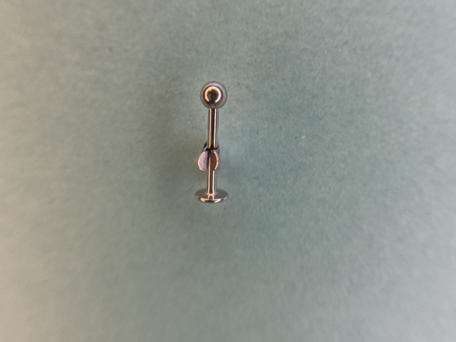 Cercel Piercing Ureche Flat Cercel Piercing Ureche Flat pret