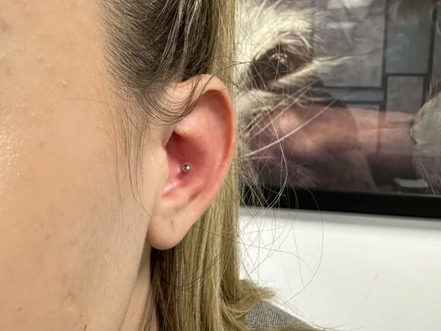 Pret Piercing Conch Pret Piercing Conch