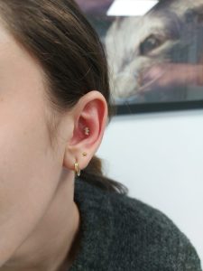 salon-piercing-conch9