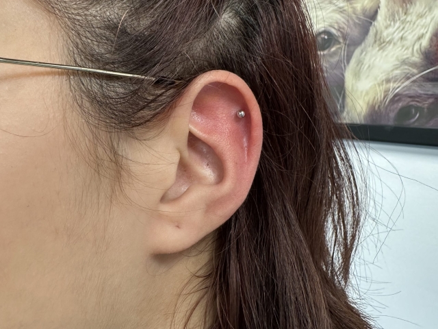salon-piercing-helix57 Pret Piercing Helix