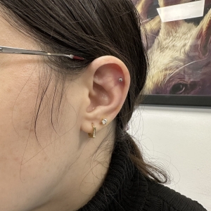 Salon piercing Bucuresti