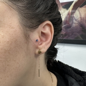Salon piercing Bucuresti