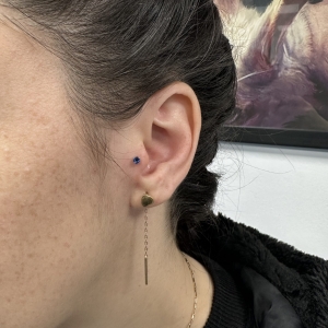Salon piercing Bucuresti