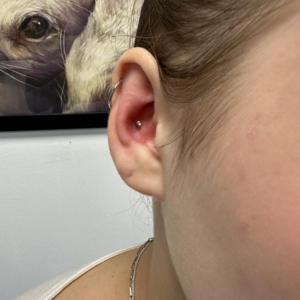 Salon piercing Bucuresti