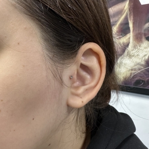 Salon piercing Bucuresti
