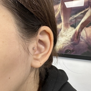 Salon piercing Bucuresti
