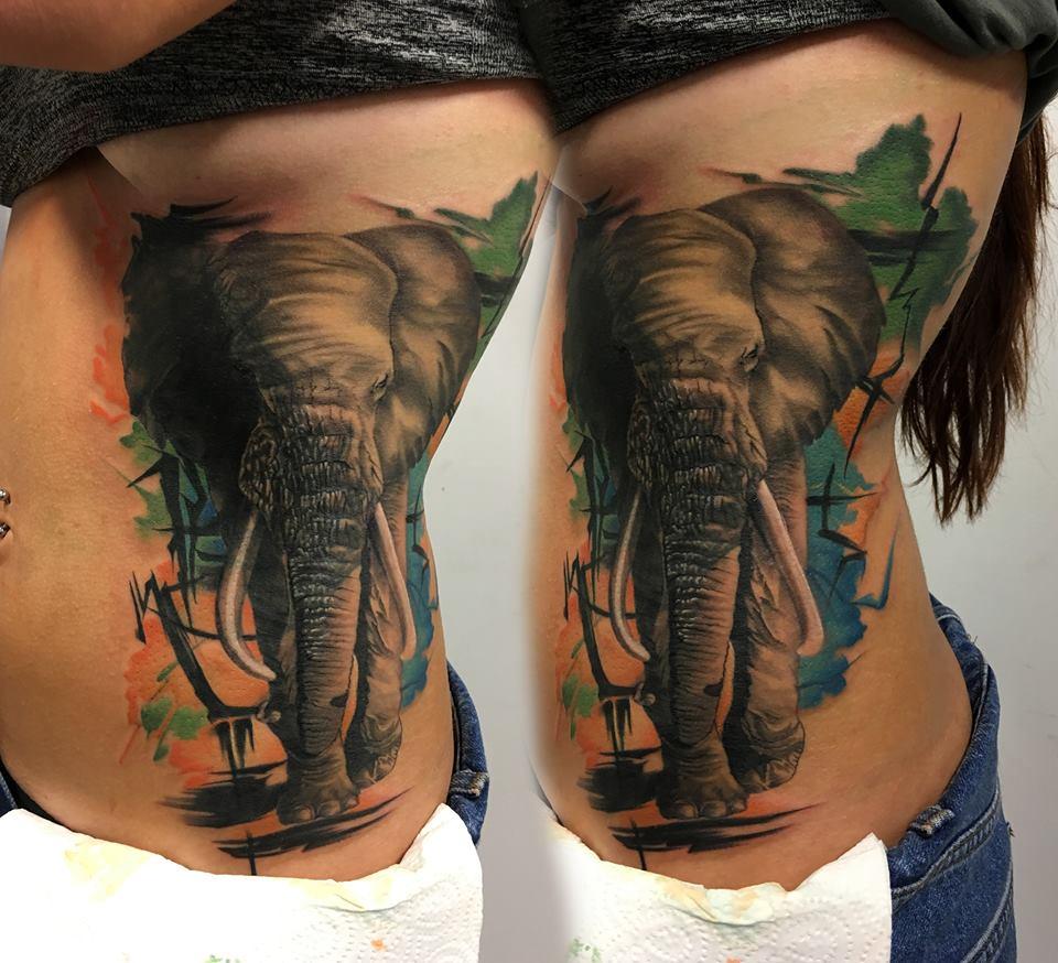elefant color tatuaj