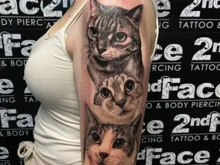 #cat #animals #animallovers #cattattoo #cats #catlover #tattooed #tattooedgirls #tattooedmen #tattoo #blackandgreytattoo #realistictattoo #tattoos #artistsoninstagram #artist #tattooartist #art #bodyart #inked #bes