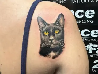 #cat #animals #blackcat #animallovers #cattattoo #cats #catlover #tattooed #tattooedgirls #tattooedmen #tattoo #blackandgreytattoo #realistictattoo #tattoos #artistsoninstagram #artist #tattooartist #art #bodya (1)