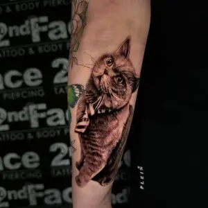 Tatuaj Pisica Realistic