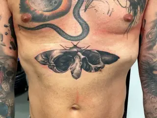 #skull #skulltattoo #skulls #butterflytattoo #butterfly #tattoo #tattoos #tattooed #tattooedmen #blackandgreytattoo #realistictattoo #tats #artistsoninstagram #artist #tattooartist #art #bodyart #inked #best #b (1)