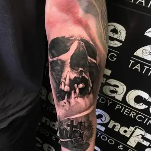 #skull #skulltattoo #skulls #butterflytattoo #butterfly #tattoo #tattoos #tattooed #tattooedmen #blackandgreytattoo #realistictattoo #tats #artistsoninstagram #artist #tattooartist #art #bodyart #inked #best #bestf