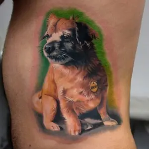 caine tatuaj color