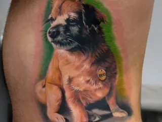 caine tatuaj color