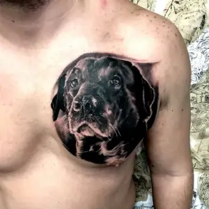 caine portret tatuaj