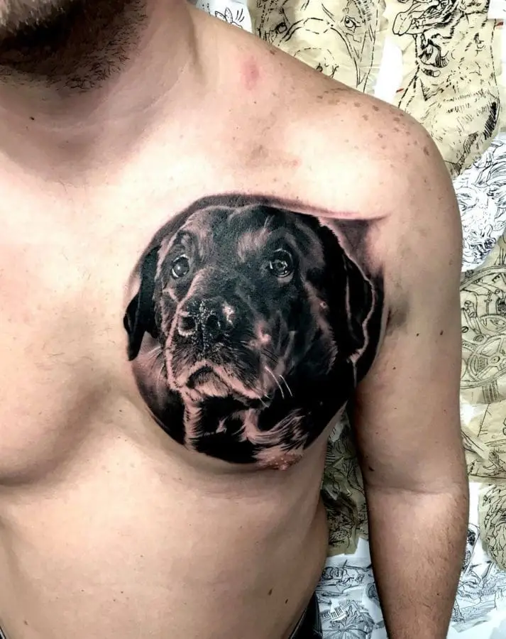 Caine Portret Tatuaj 1 – 2nd Face Tattoo București