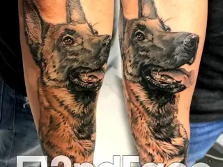salon tatuaje caine color