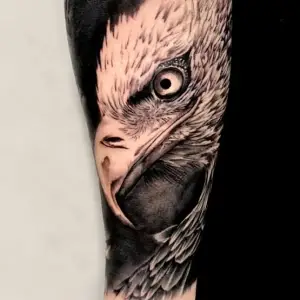 salon tatuaje vultur