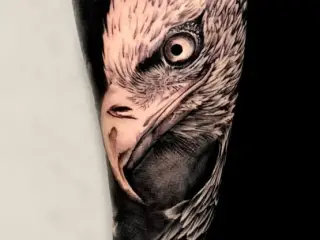 salon tatuaje vultur