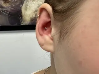 Piercing Conch