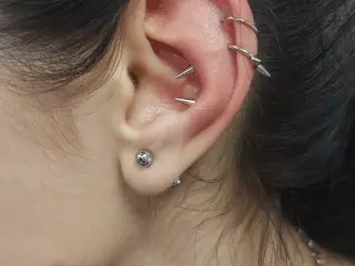 Piercing Conch