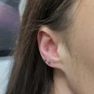 Piercing Conch