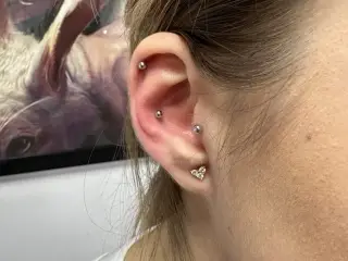 Piercing Conch