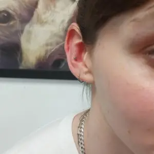 Piercing Conch