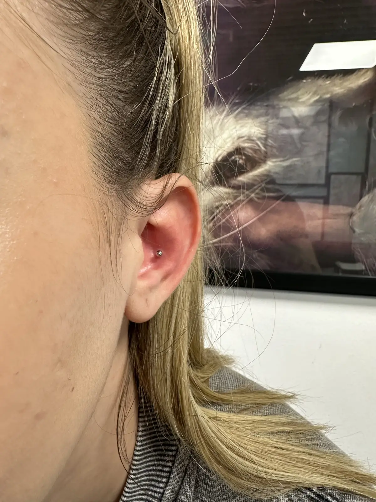 Piercing Conch realizat la 2nd Face Tattoo & Body Piercing București