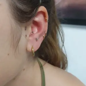 Piercing Conch