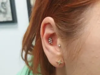 Piercing Conch