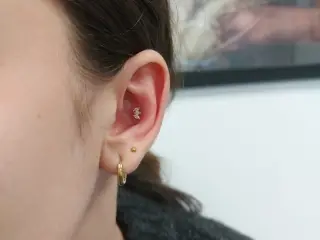 Piercing Conch