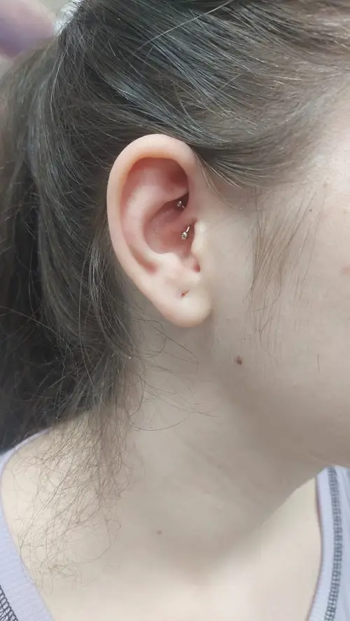 Pret Piercing Daith