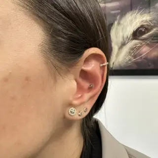 Piercing Helix Rotund