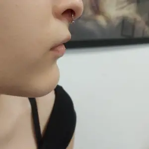 salon-piercing-septum41 Piercing Septum