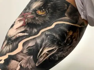 Tatuaj cu cioara pe mana