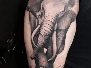 tatuaj cu elefant pe mana barbat