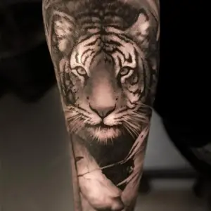 tatuaj cu tigru pe mana barbat