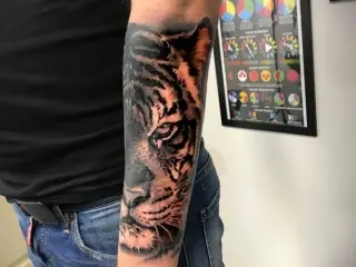 tatuaj tigru pe mana barbat