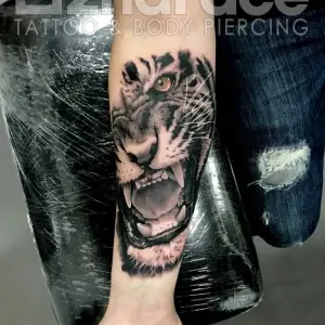 Tatuaj Antebrat Tigru