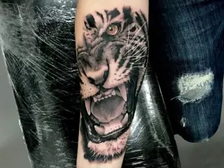 Tatuaj Antebrat Tigru