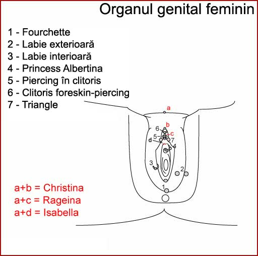 Clitorial Piercings